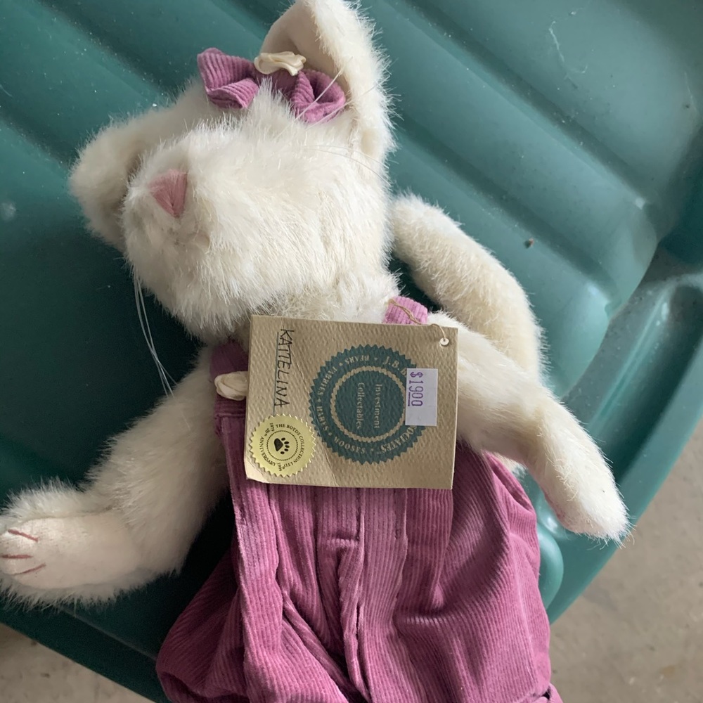 Boyd’s bear